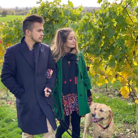 Hencote Vineyard Glamping Village Shrewsbury Esterno foto