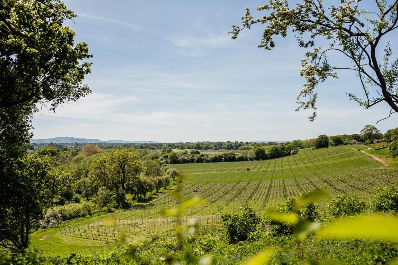 Hencote Vineyard Glamping Village Shrewsbury Esterno foto