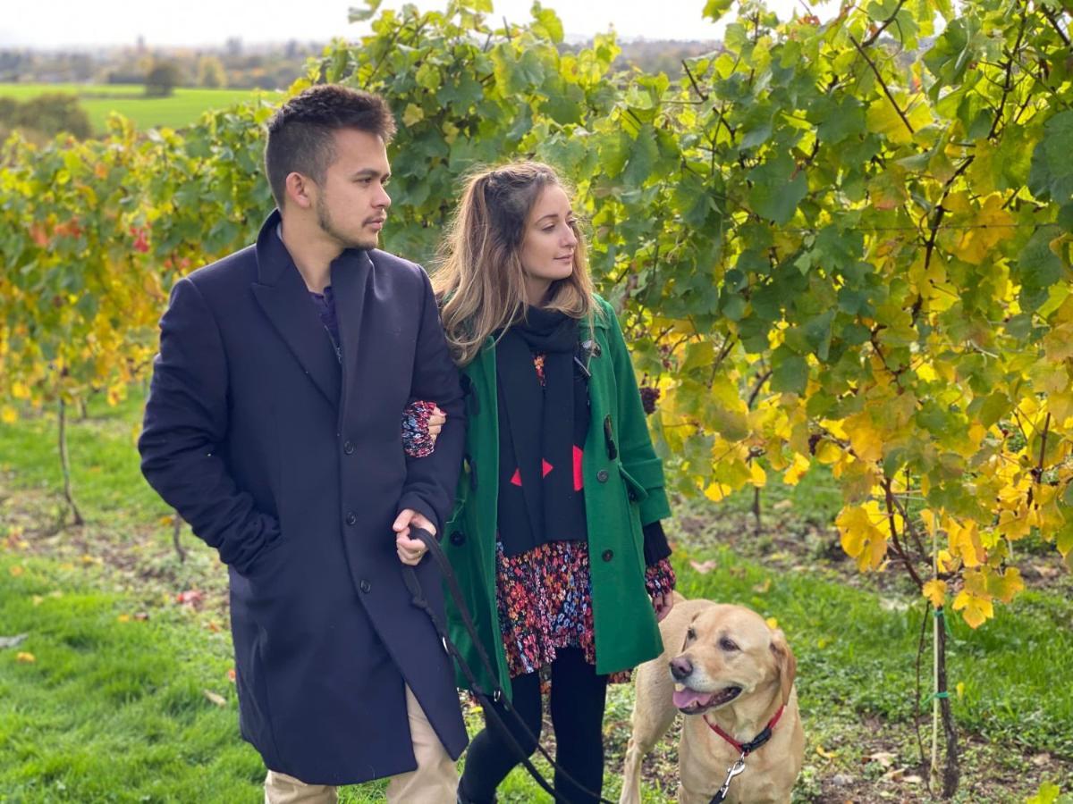 Hencote Vineyard Glamping Village Shrewsbury Esterno foto